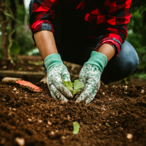 Fulfilment for Outdoor and Garden Brands